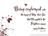 The Sanctifying Life - Man’s Nature and Destiny (5)